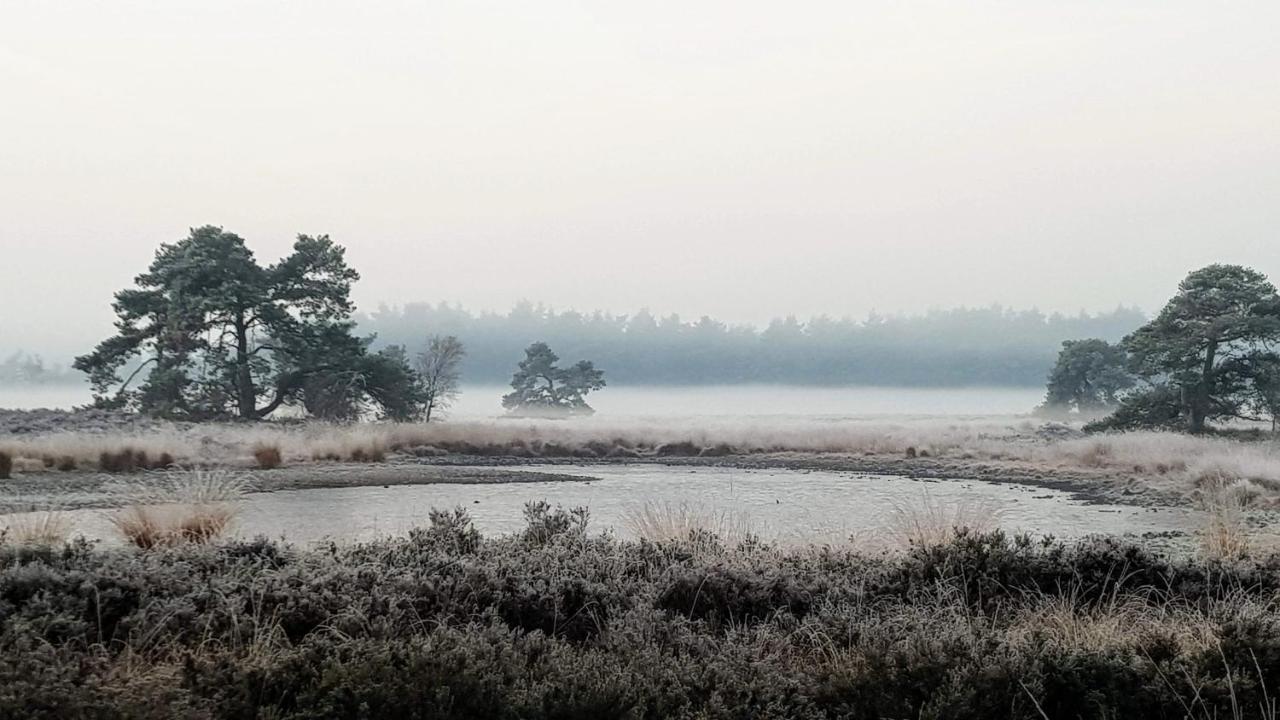 Oosterwolde  Bed & Breakfast De Heughte Bed & Breakfast エクステリア 写真